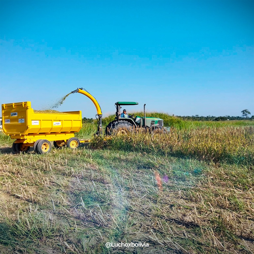 Gobierno aprueba decreto para invertir Bs 443,6 millones en la construcción de nueve plantas de agroinsumos