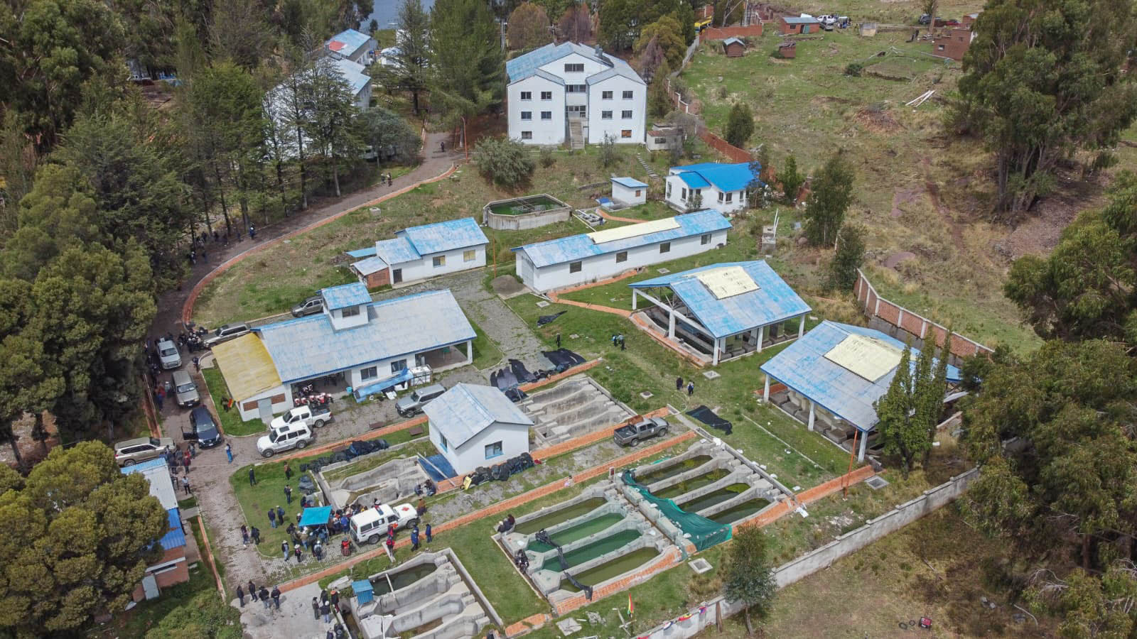 Planta Piscícola beneficiará a 16 municipios pesqueros y 3.988 unidades productivas lacustres del Tititicaca 