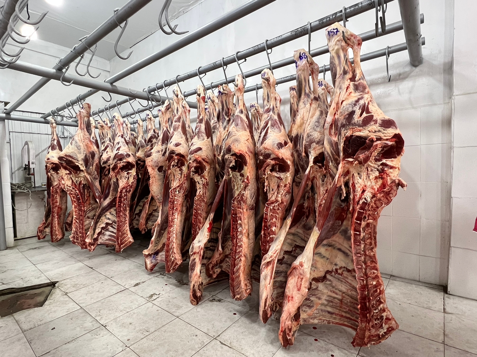 Bolivia rompe récord al exportar carne y derivados por $us 228 millones, en el Bicentenario se proyecta superar los $us 500 millones