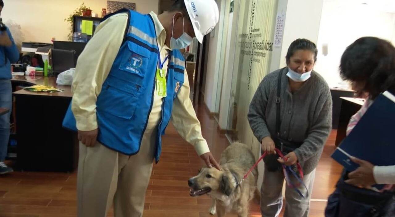 Gerente de Mi Teleférico integra a su familia a Beily, uno de los muchos canes abandonados