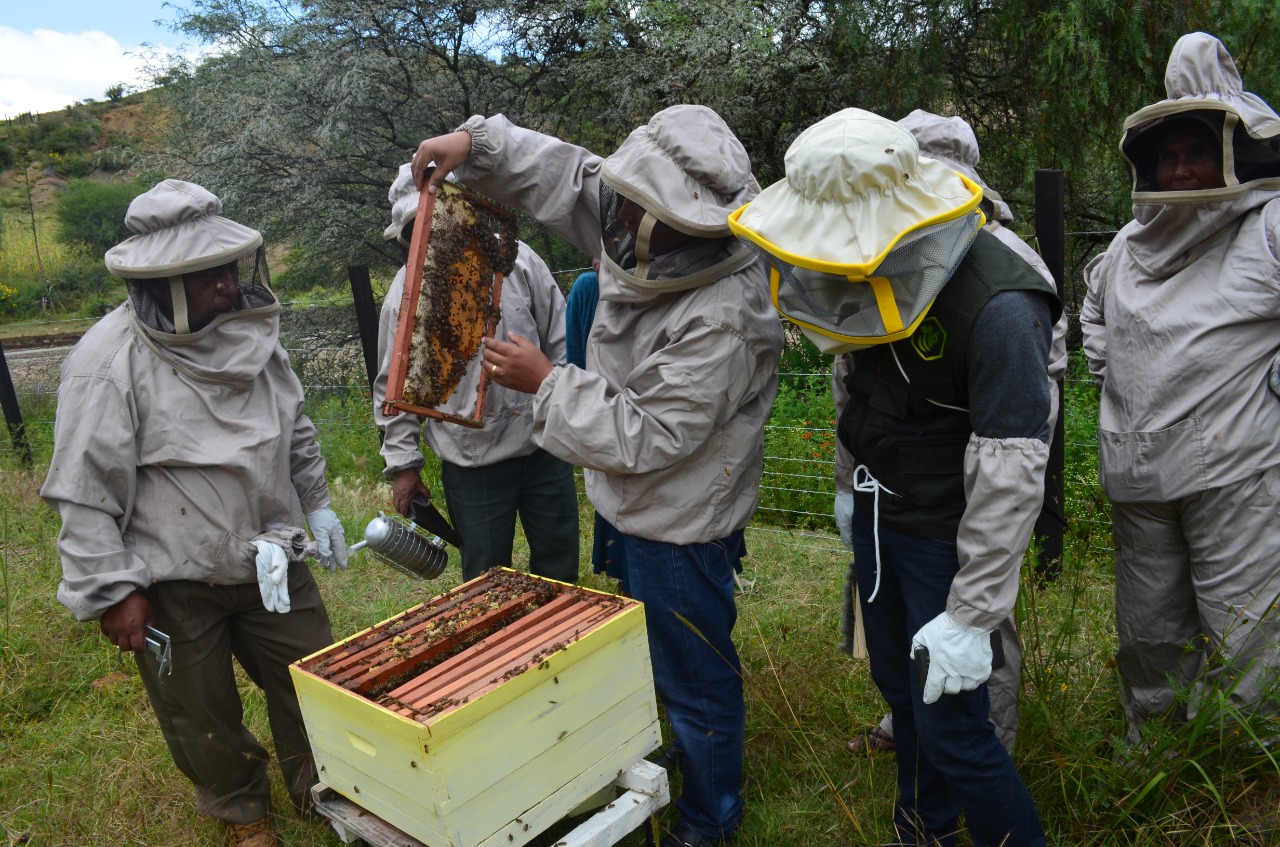 Destinan Bs 86,5 millones para fortalecer la producción apícola con resiliencia al cambio climático 