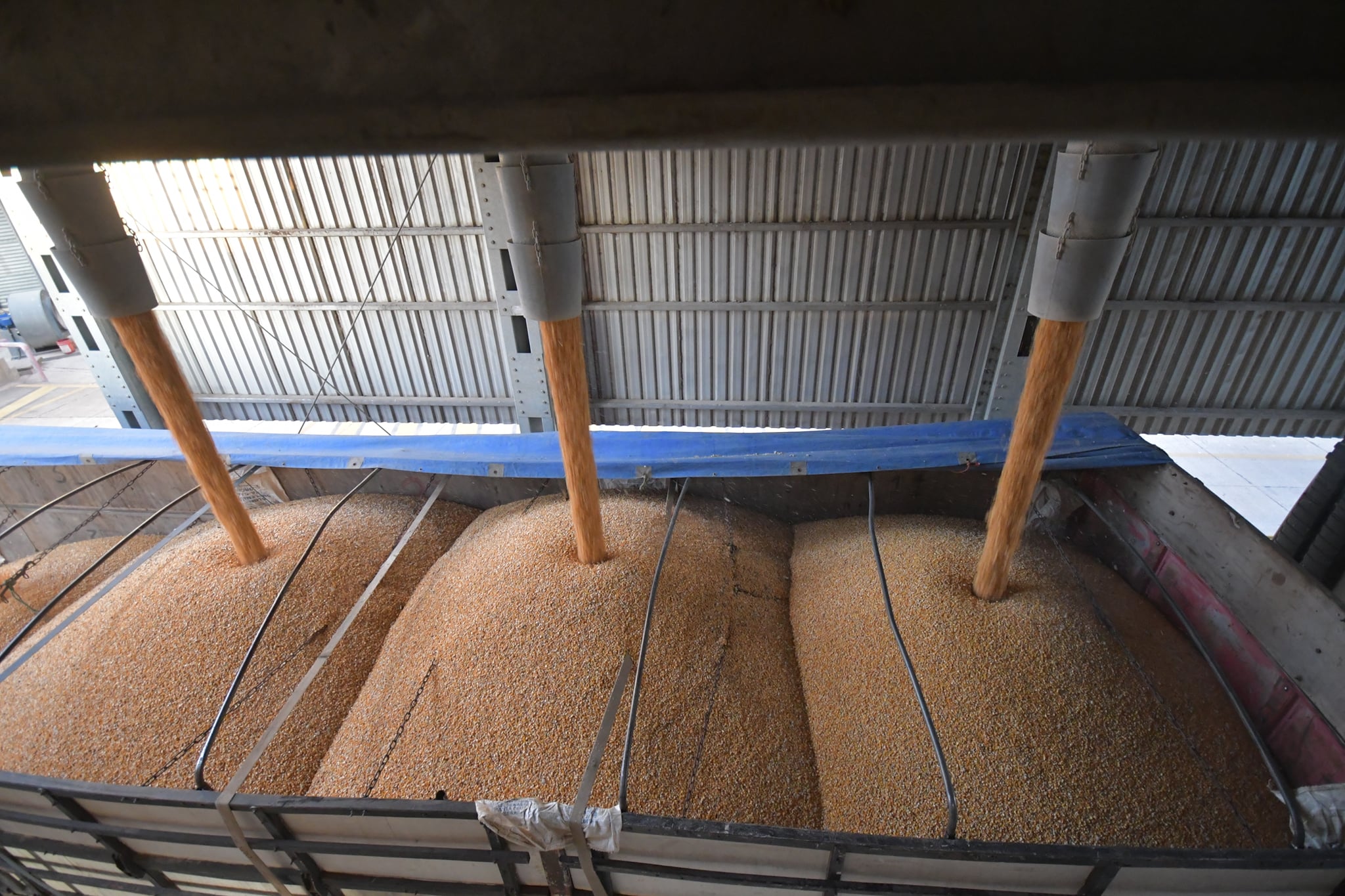 Emapa exige como requisito la “Guía de movimiento” para distribuir maíz subvencionado