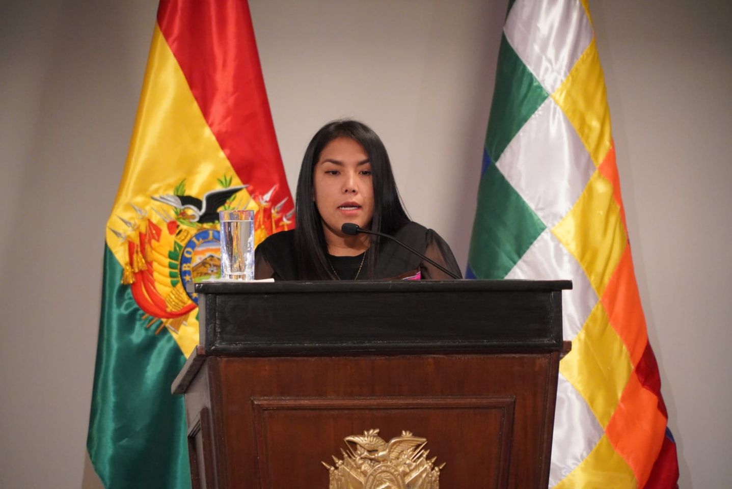 Patricia Hermosa, directora del Segip renuncia a su secreto bancario