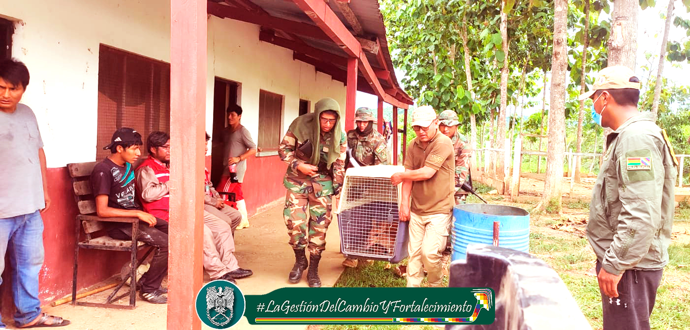 Pofoma rescata a cinco animales en cautiverio en Caranavi