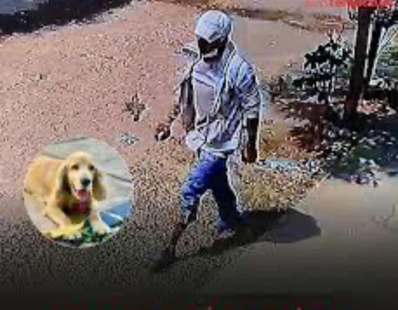 Emiten primera condena por el delito de biocido en Santa Cruz