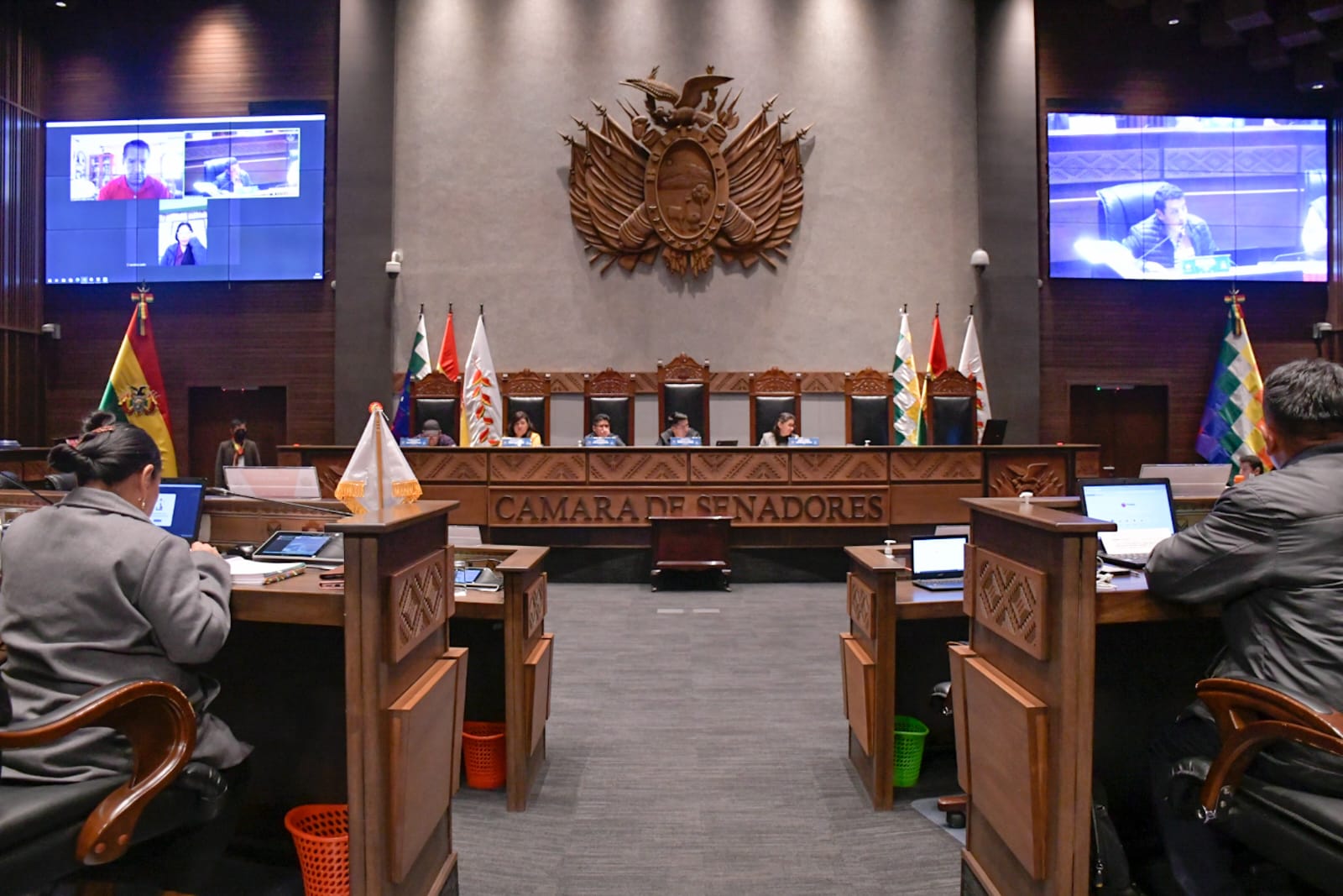 Senado sanciona acuerdo que permitirá a bolivianos recurrir a consulados de países que forman parte del Mercosur