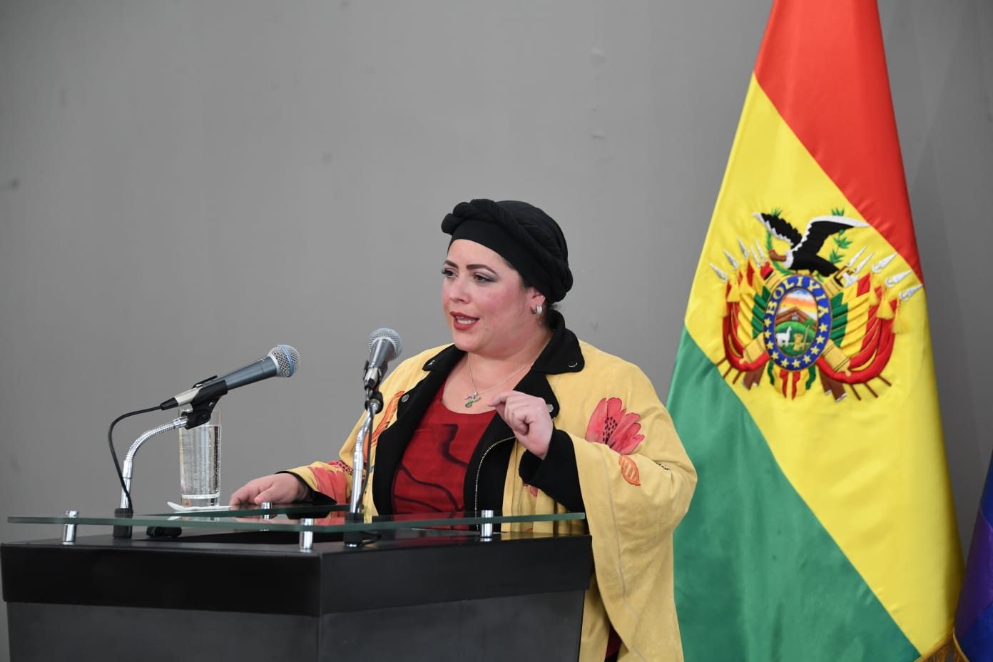 Bolivia plantea a la OEA declarar el Decenio de la Despatriarcalización e impulsar una política exterior feminista