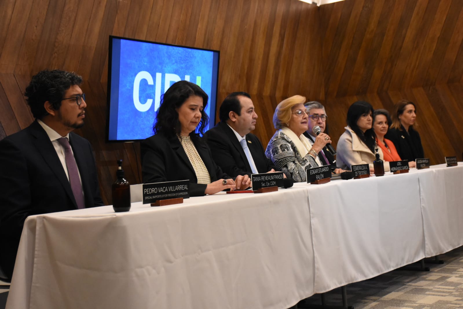 CIDH asegura que Bolivia tiene avances sin precedentes en inclusión y urge superar la “fractura en la sociedad”