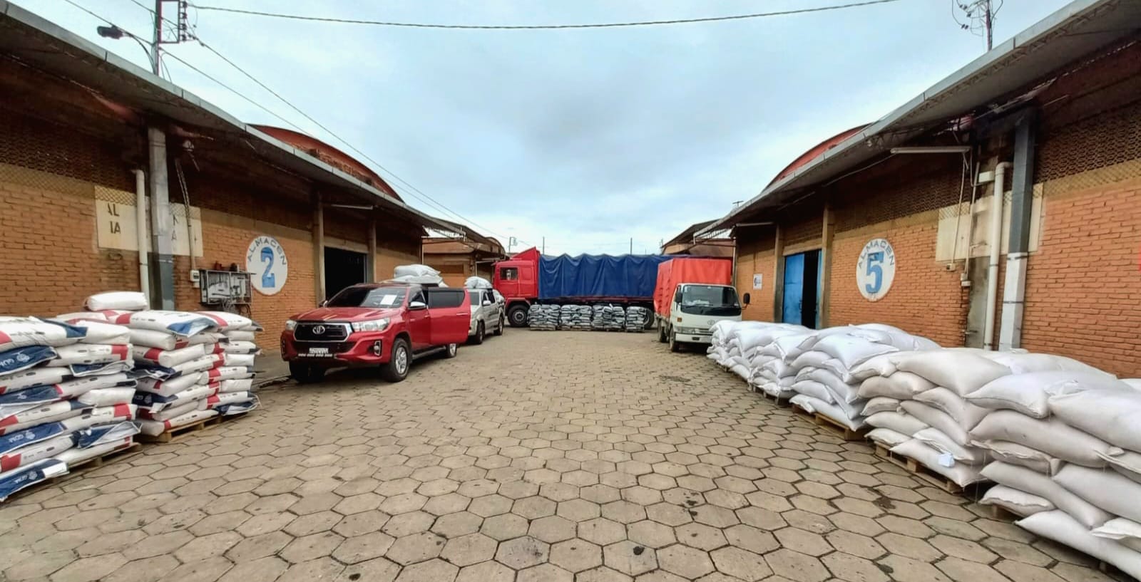 Aduana comisa 59 t de semillas de girasol, soya y pasto sin certificación valuadas en Bs 500.000