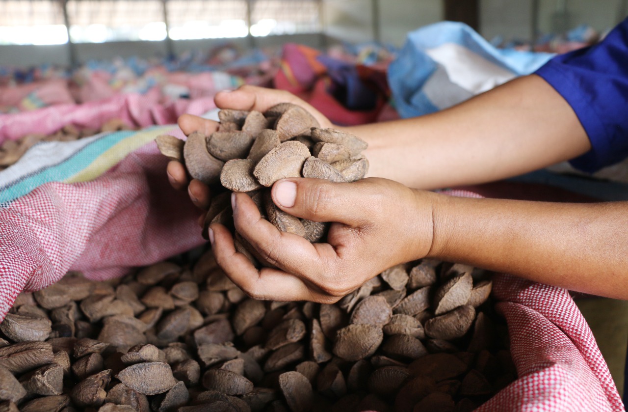 Productores de frutos amazónicas realizan una feria y rueda de negocios en La Paz