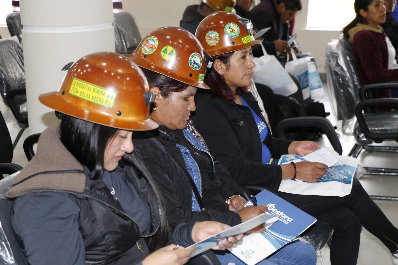 El directorio de la Gestora será elegido en el Legislativo y la ley exigirá tres requisitos a los postulantes