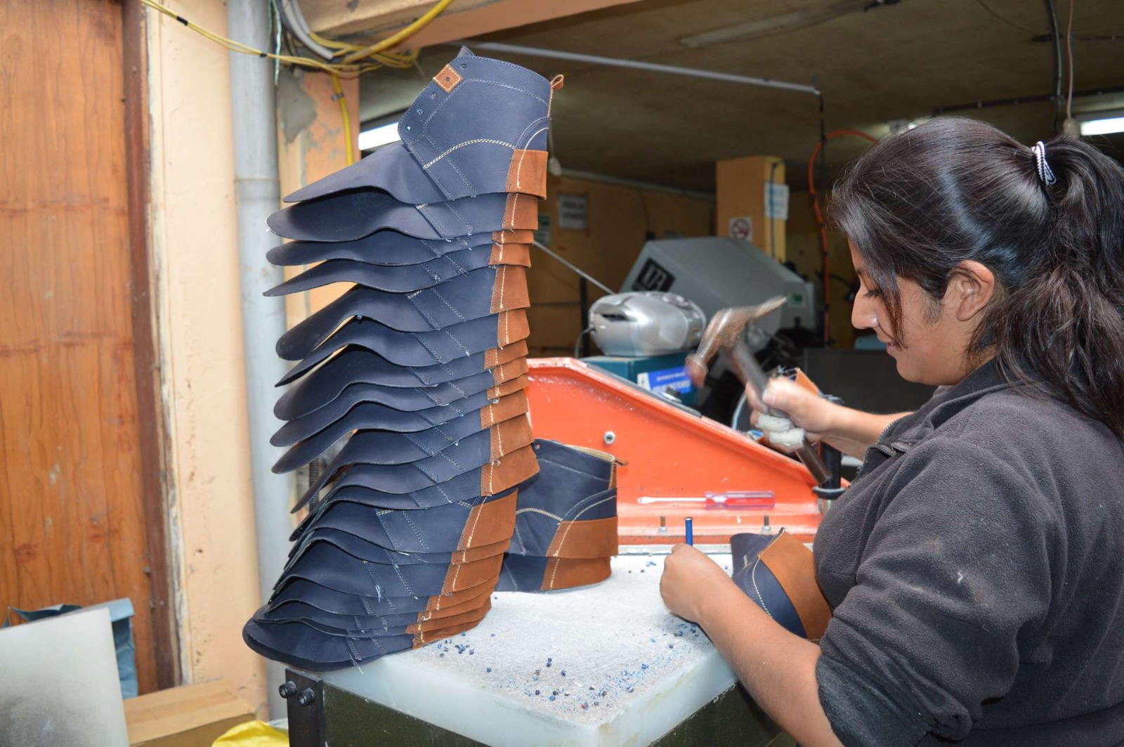 BDP: Créditos SIBOLIVA contribuyen a la reducción de importaciones en cuatro sectores clave