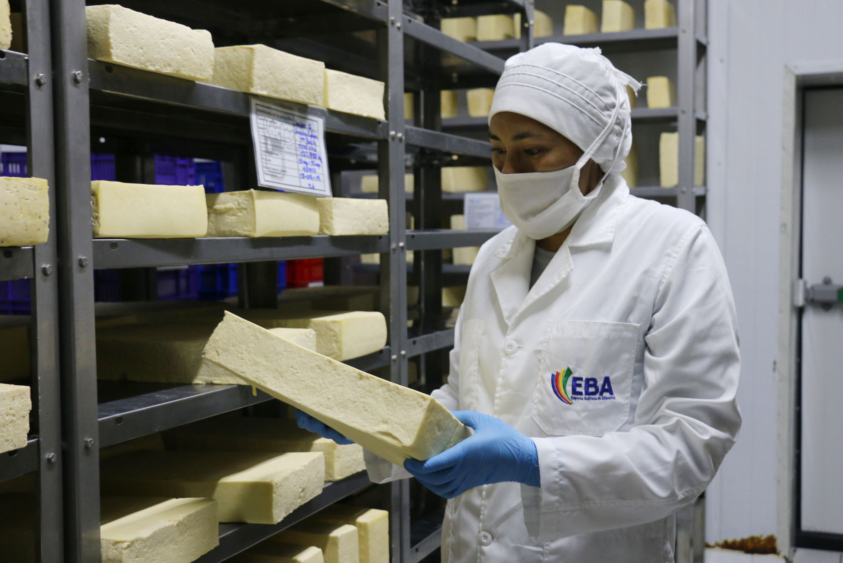 Estatal EBA avanza en el emplazamiento de ocho nuevas plantas con inversión de Bs 569 millones