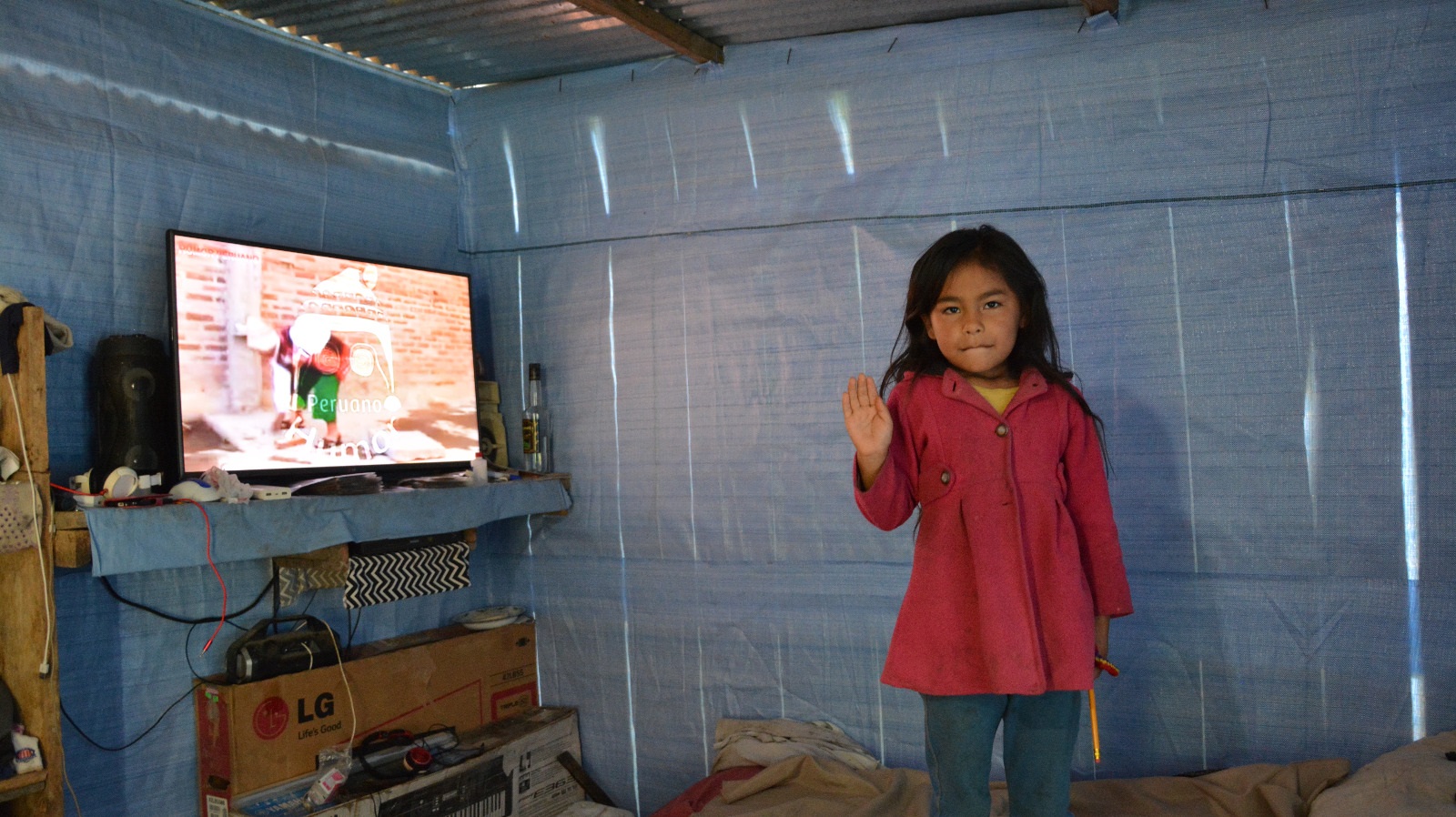 Electrificación rural en Caranavi beneficiará a 366 familias y ayudará a mejorar la producción 