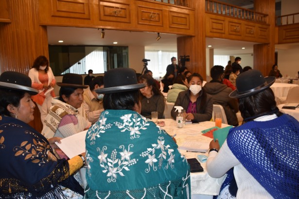 TED La Paz aclara que renuncia de mujeres en función pública debe ser voluntaria y según procedimiento