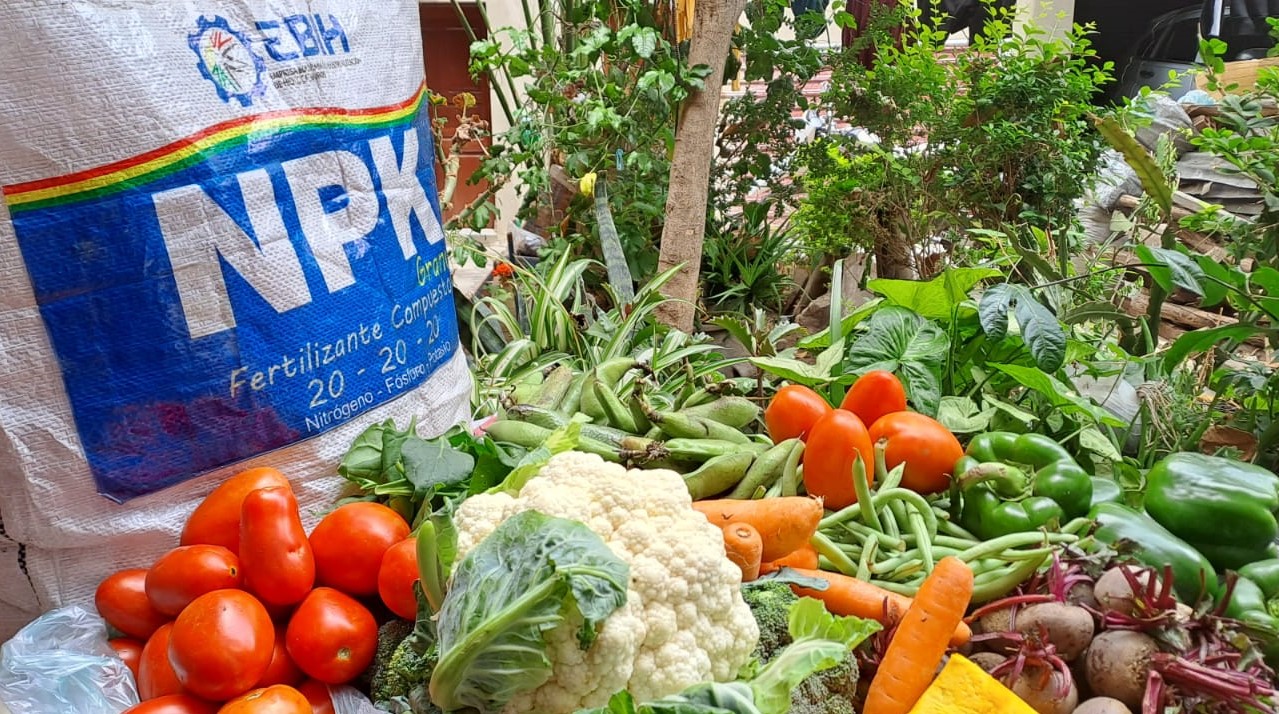 Estudio demuestra que agrofertilizante NPK incrementa producción en un promedio de 70%