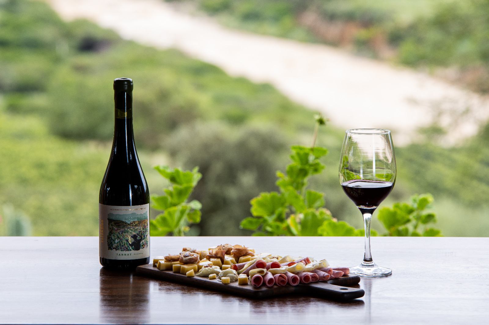 Expertos del “exigente” mercado europeo probarán la calidad del vino de altura boliviano