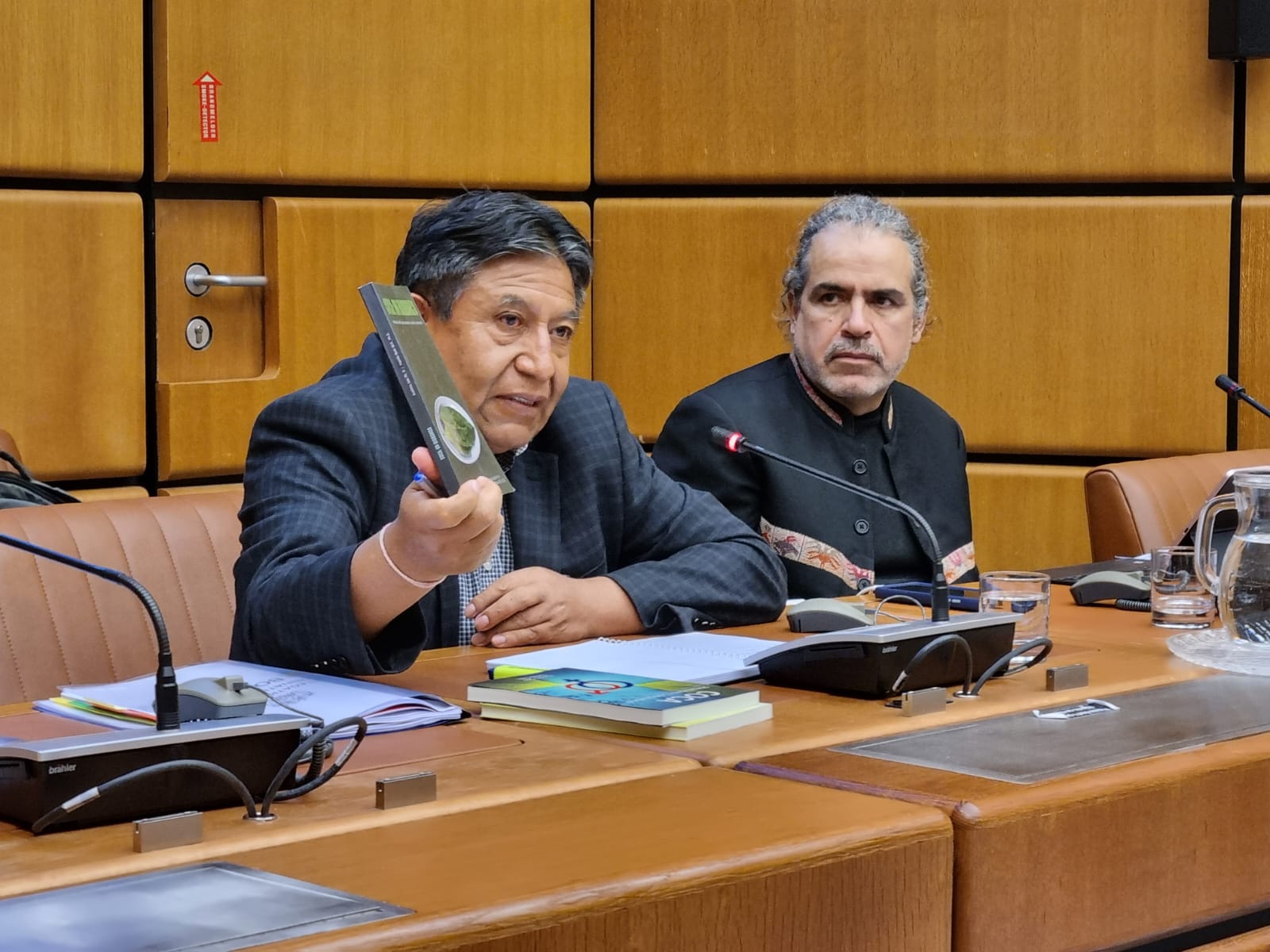 Bolivia encara gestiones en Viena para liberar a la hoja de coca de la lista de estupefacientes