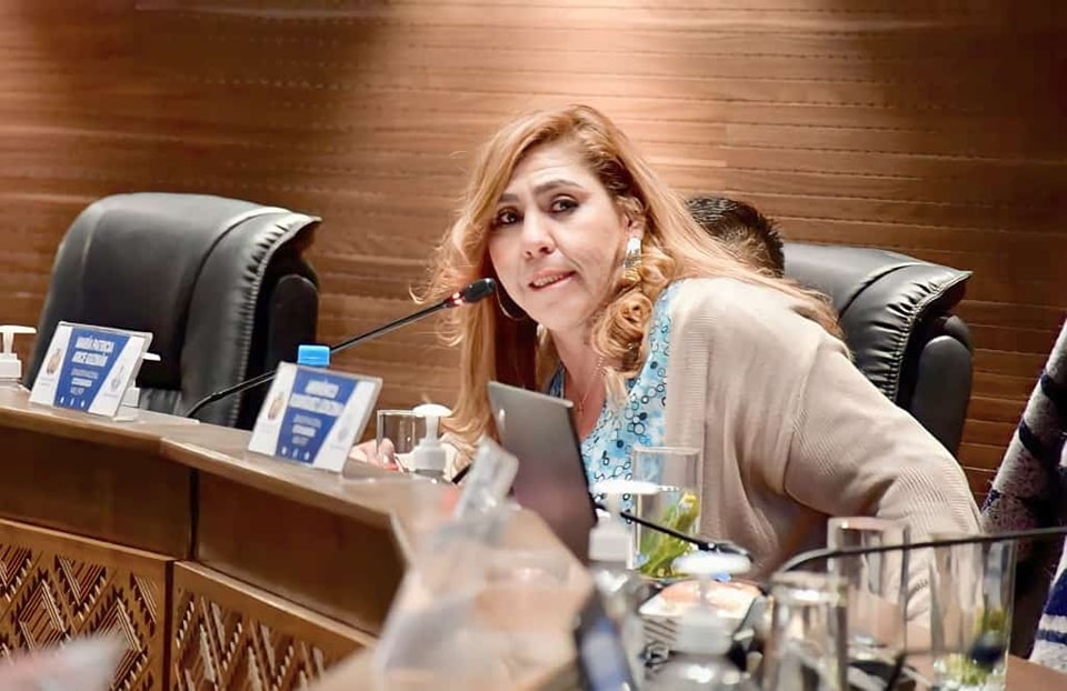 Comisión Mixta de Constitución tiene lista propuesta de reglamento para las elecciones judiciales