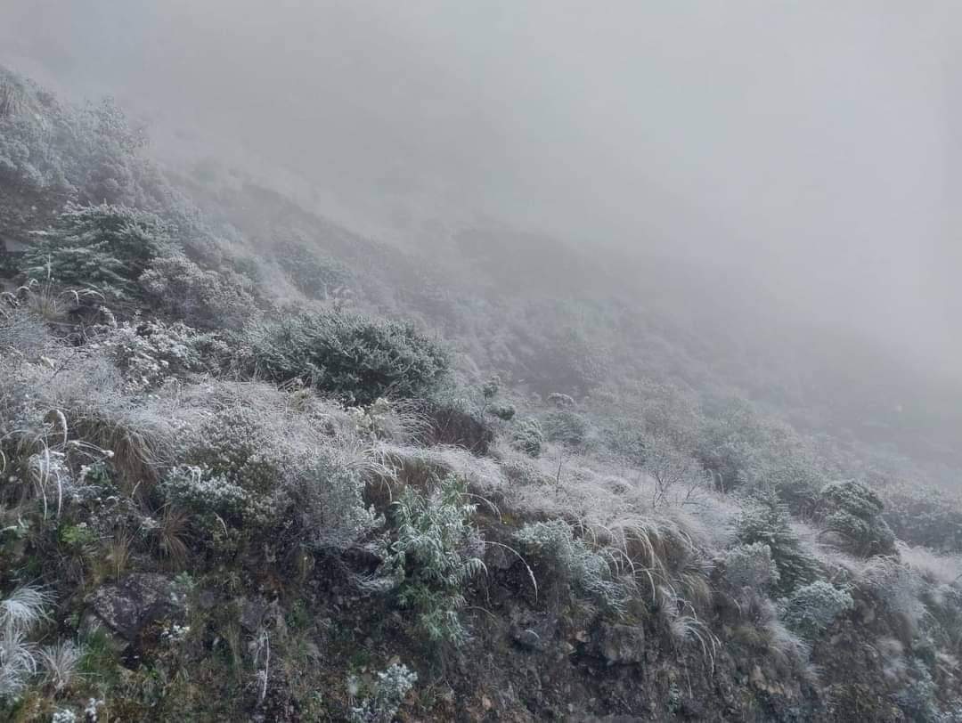Heladas nuevamente afectan los cultivos en Cochabamba 