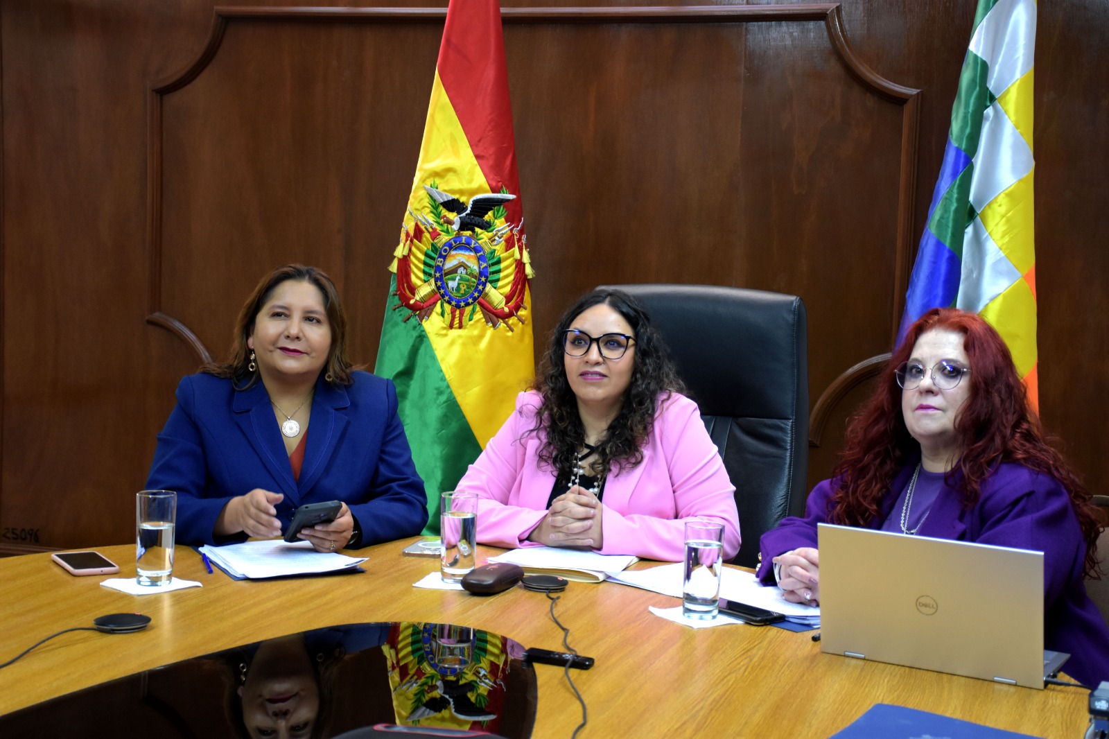 Bolivia insta a países del Mercosur enfrentar con prioridad el cambio climático por temas de salud