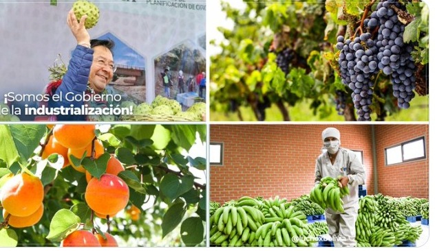 Destinan Bs 344,7 millones a la construcción de cuatro plantas de industrialización de frutas y hortalizas