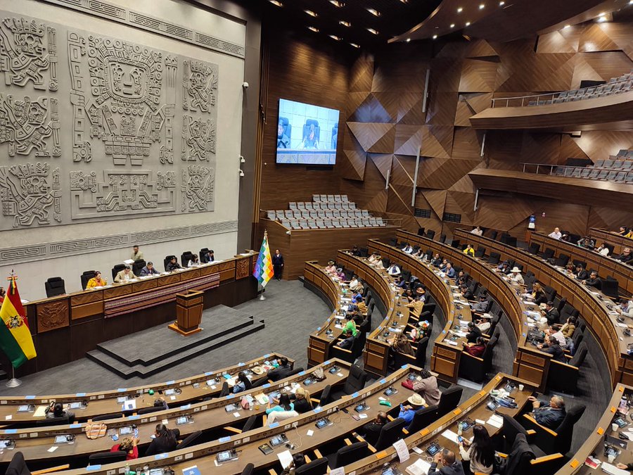 Viceministra Alcón confía en que ley “estratégica” de compra de oro avance en Diputados