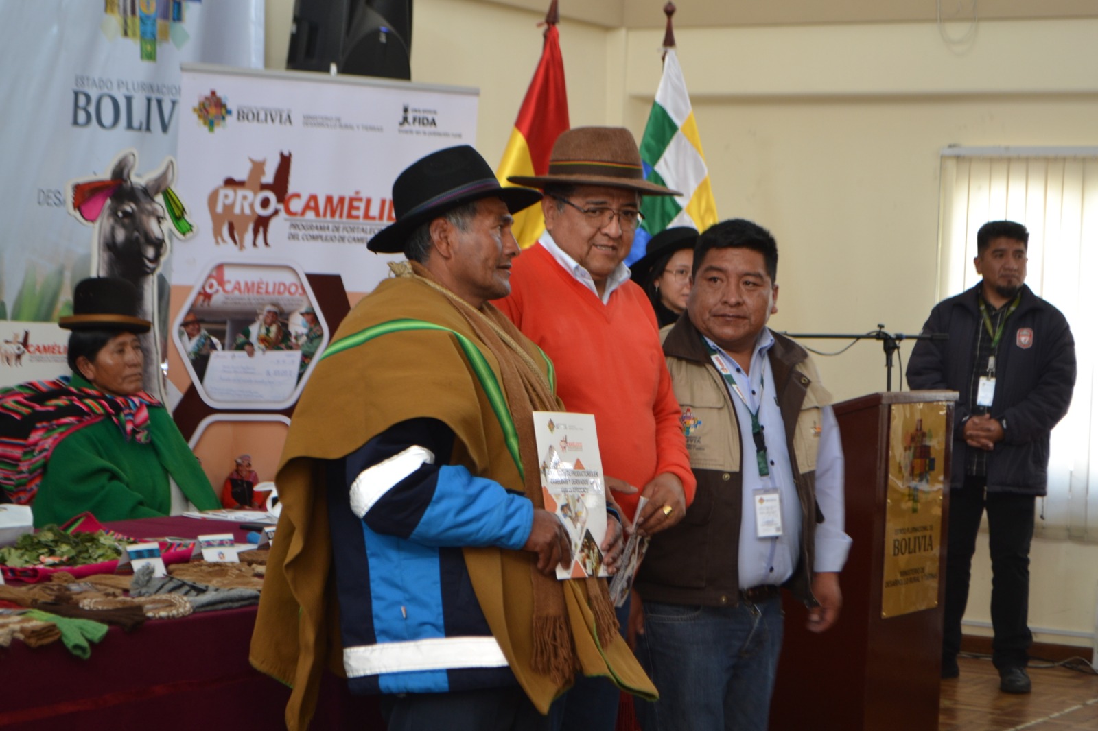 Gobierno fortalece con Bs 3,8 millones la producción y crianza de camélidos en seis municipios de La Paz