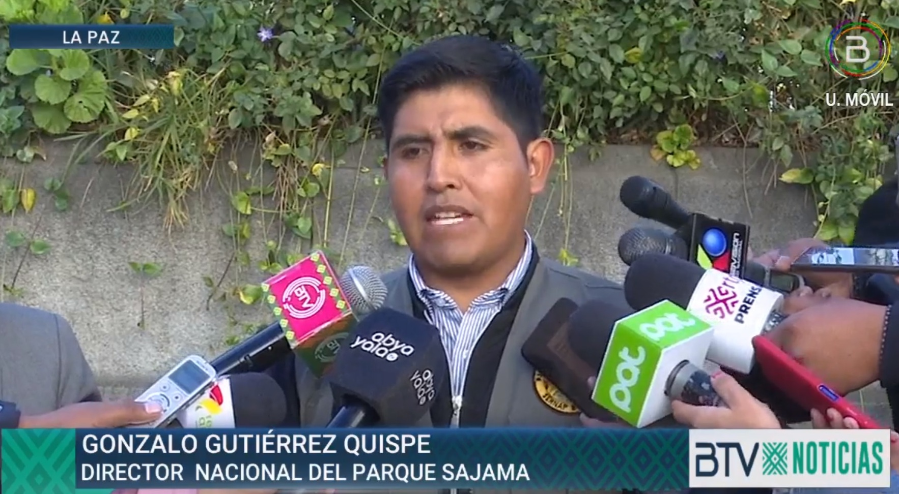 El Parque Nacional Sajama fue la primera área protegida de Bolivia, cumple 84 años e invitan a celebrarlo 