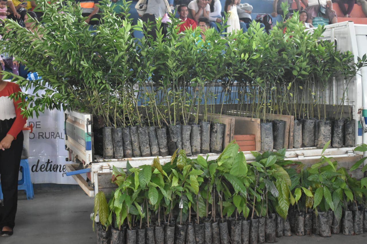 En Palos Blancos entregan tanques de agua y plantines de cacao y de cítricos para afectados por la sequía