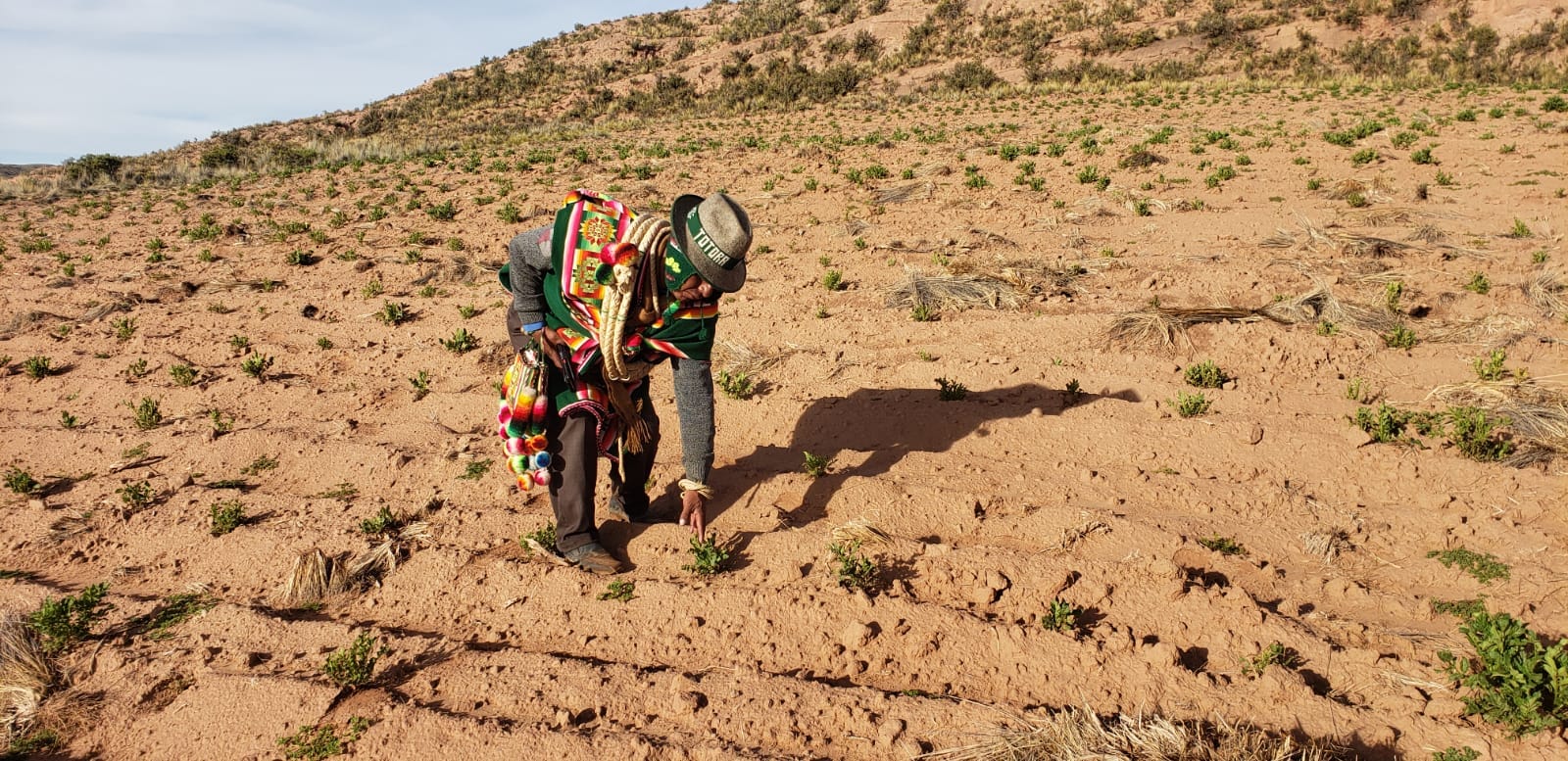 El 92% de las tierras en Bolivia están saneadas y el 45% de los títulos está en manos de mujeres, destaca el INRA 