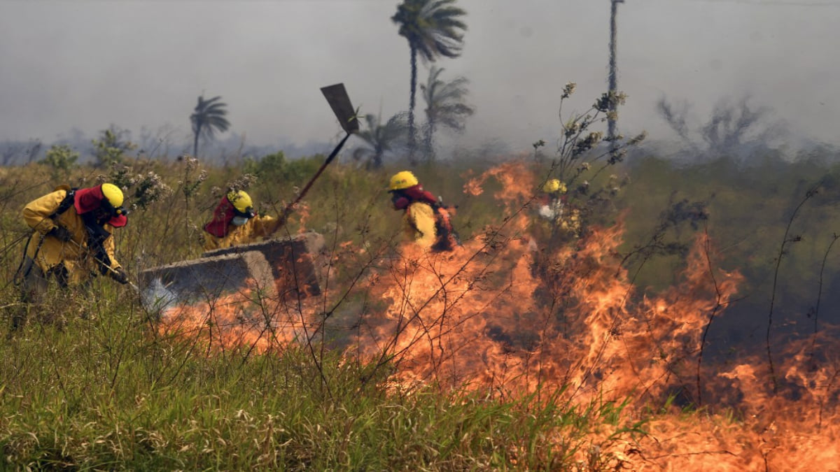 Senamhi reporta más de 1.300 focos de calor en el territorio nacional
