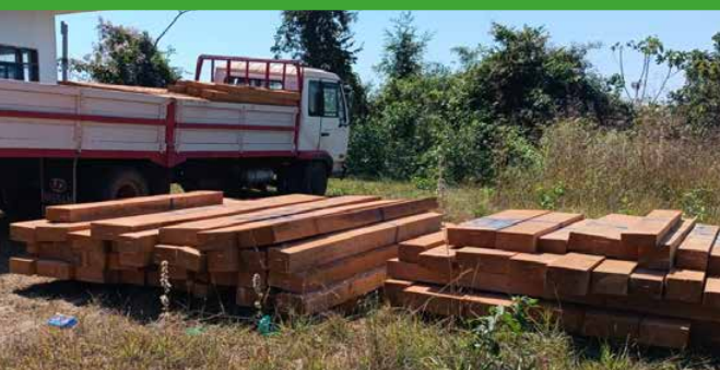 ABT identifica desmonte ilegal en 1.716 hectáreas y decomisa maquinaria, vehículos y madera 