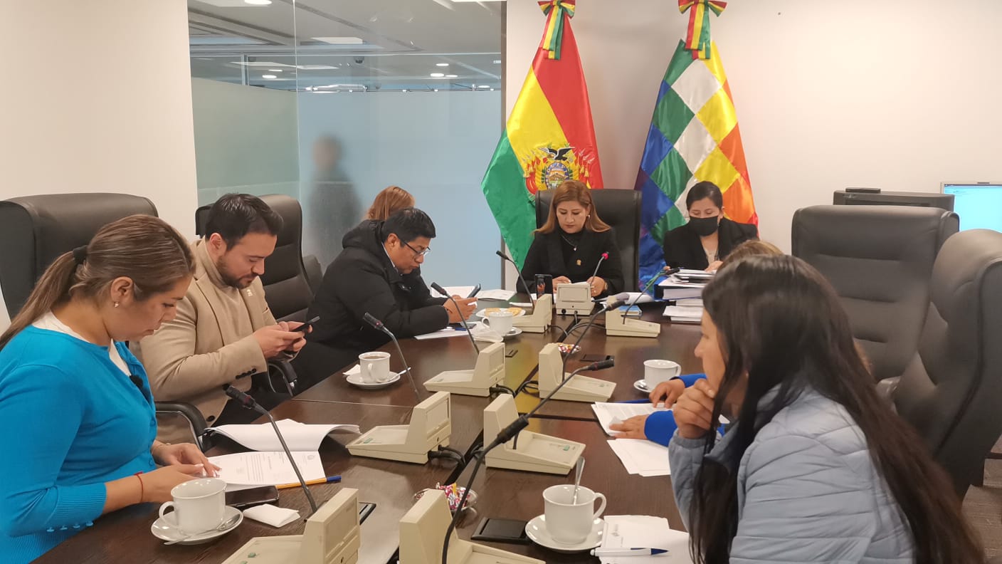 Comisión legislativa define iniciar “cruzada de lucha” para frenar la violencia infantil