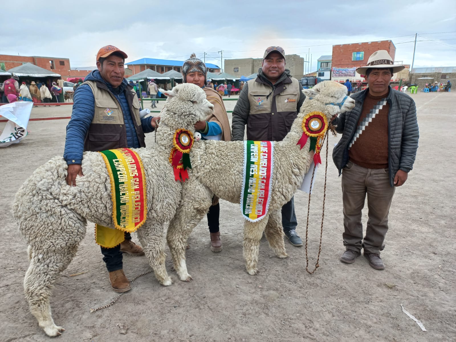 Más de Bs 150.000 en premios serán repartidos en la XIII Expoferia Nacional de Camélidos