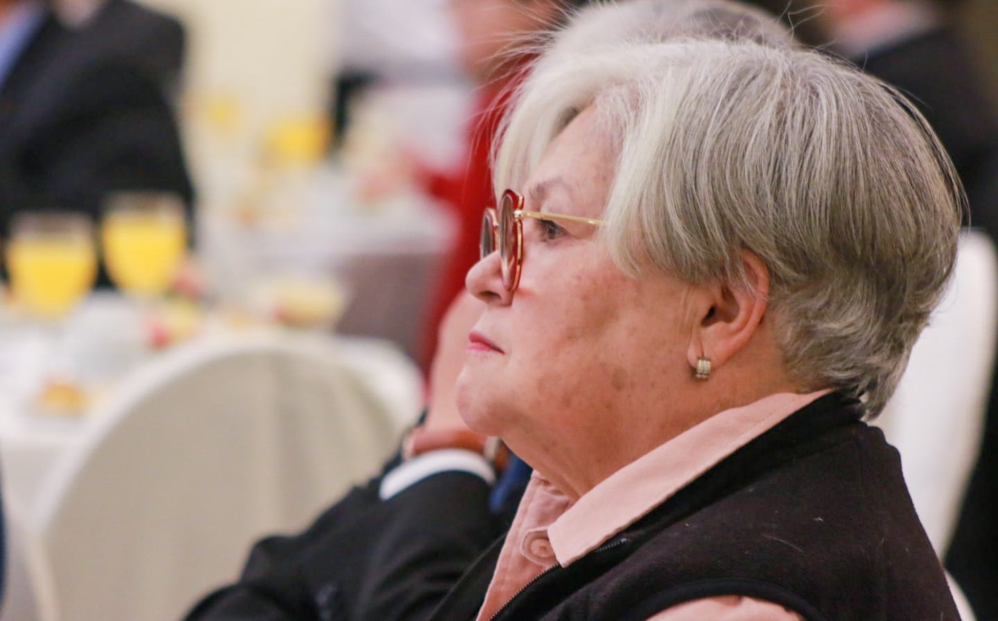 Senadora Salame plantea ajustar Ley Electoral y reducir a 70 días plazo para organizar las elecciones judiciales