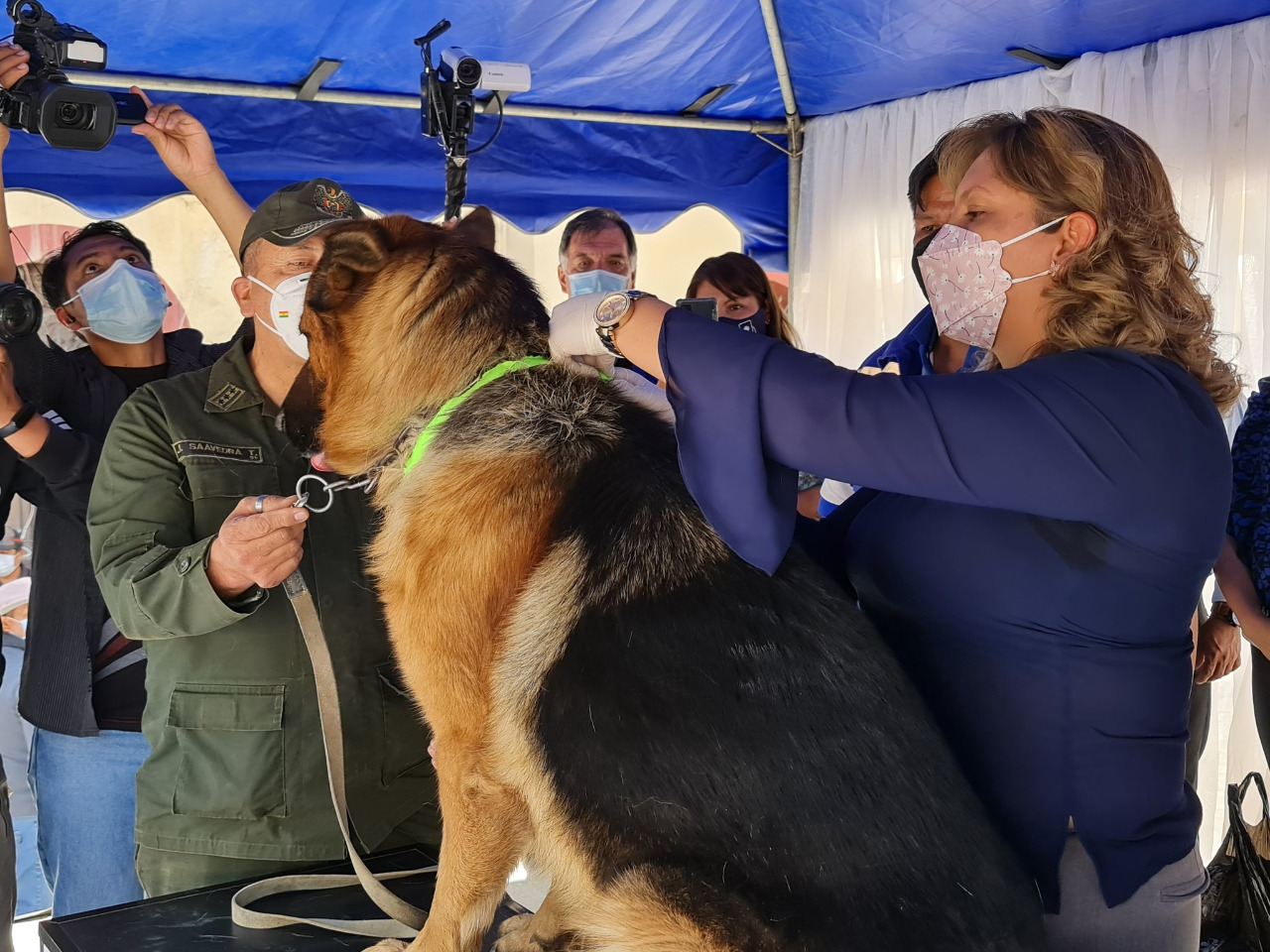 Salud insta a la población a llevar a sus mascotas a vacunar para garantizar el éxito de la campaña antirrábica