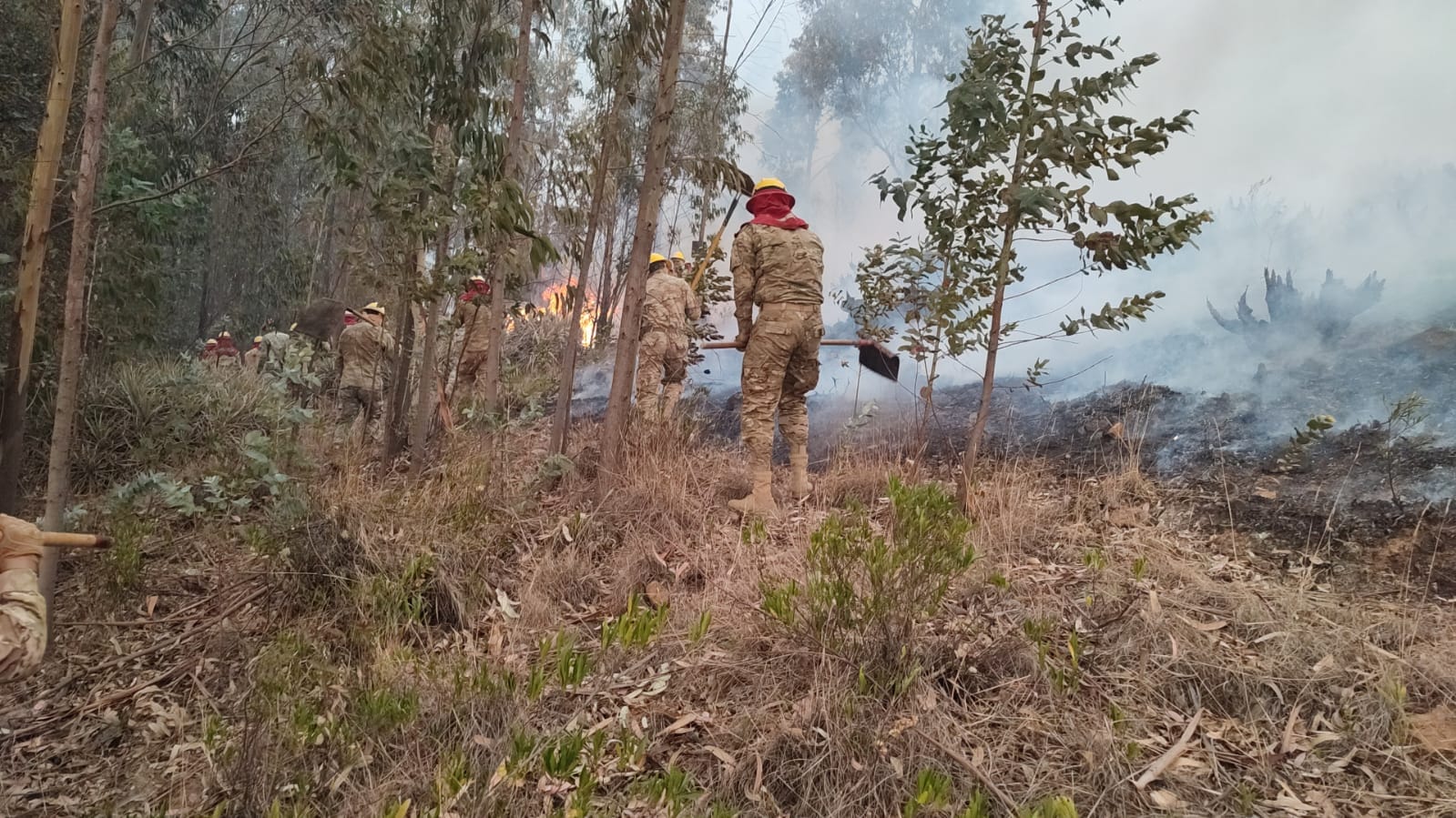 Calvimontes anuncia investigación sobre el origen de los incendios y advierte con “severas” sanciones
