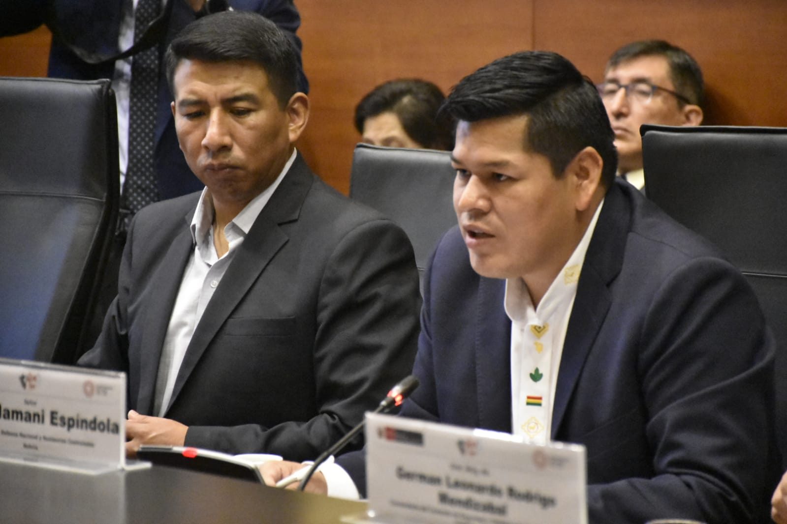 Bolivia intercambiará con Perú sus experiencias para controlar la expansión de cultivos de coca