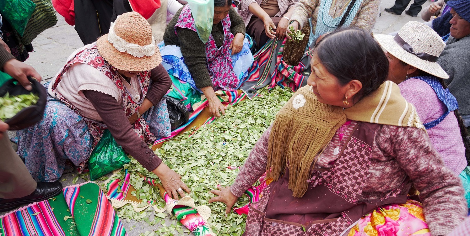 Naciones Unidas: Países Bajos retira objeción al uso de la hoja de coca
