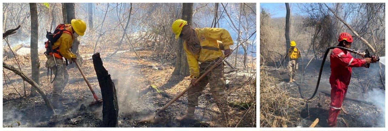 Controlan incendios, en Santa Cruz no hay ninguno y en Coroico se sofoca y no amenaza a refugio animal