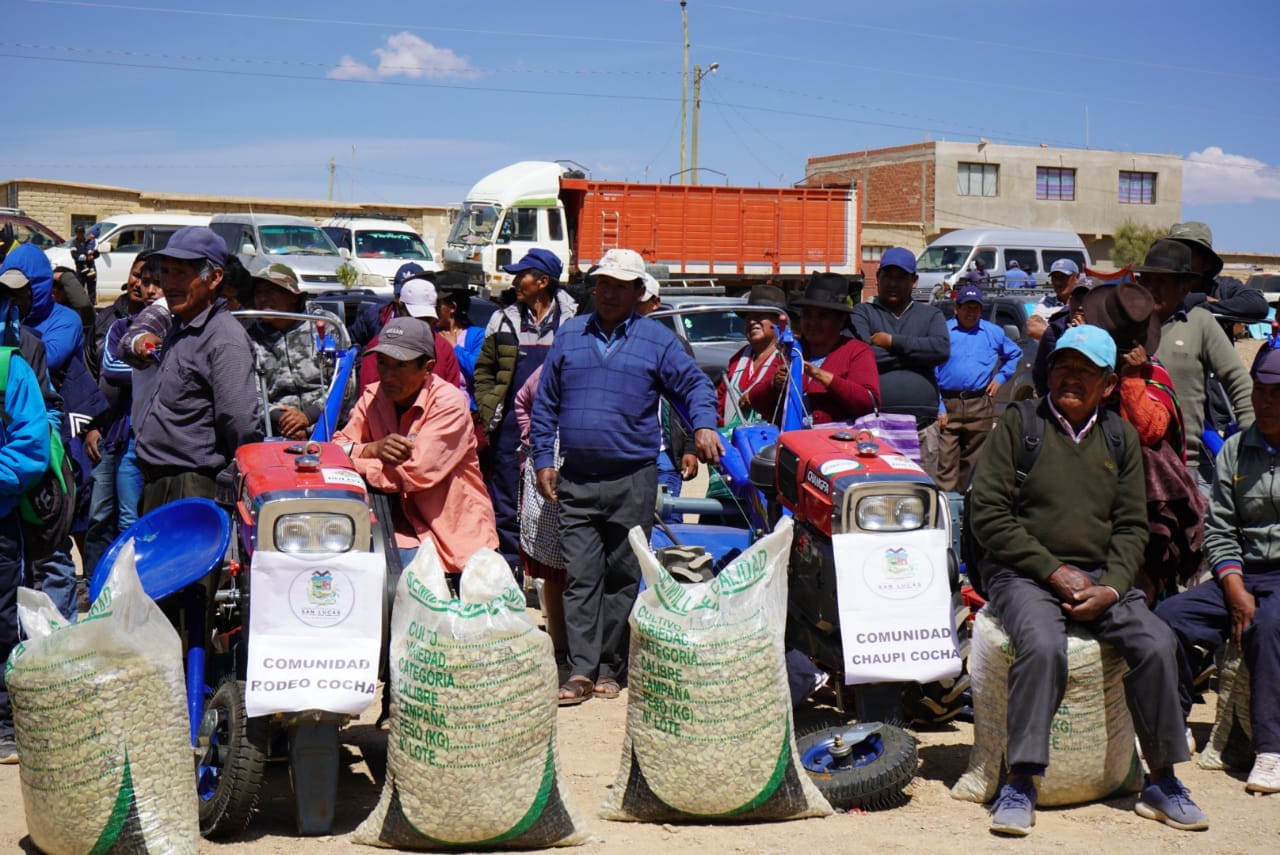 San Lucas: Dotan de semilla certificada de haba para incrementar rendimiento de 1,7 a 2,06 toneladas por ha