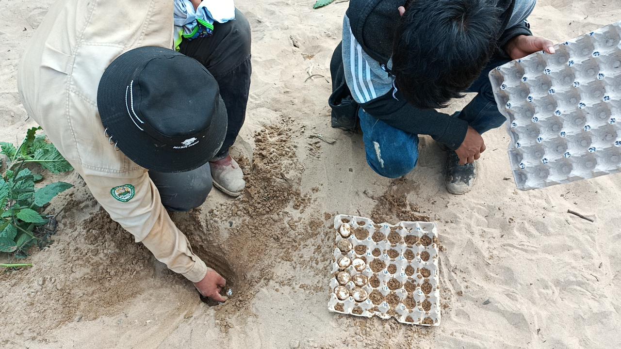 Reserva Manuripi pone en marcha programa para conservación y repoblamiento de la peta de río 