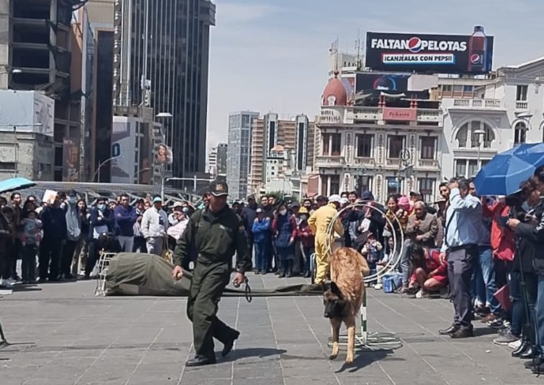 Más de 9.500 brigadas de salud serán desplazadas en La Paz para vacunar a perros y gatos contra la rabia
