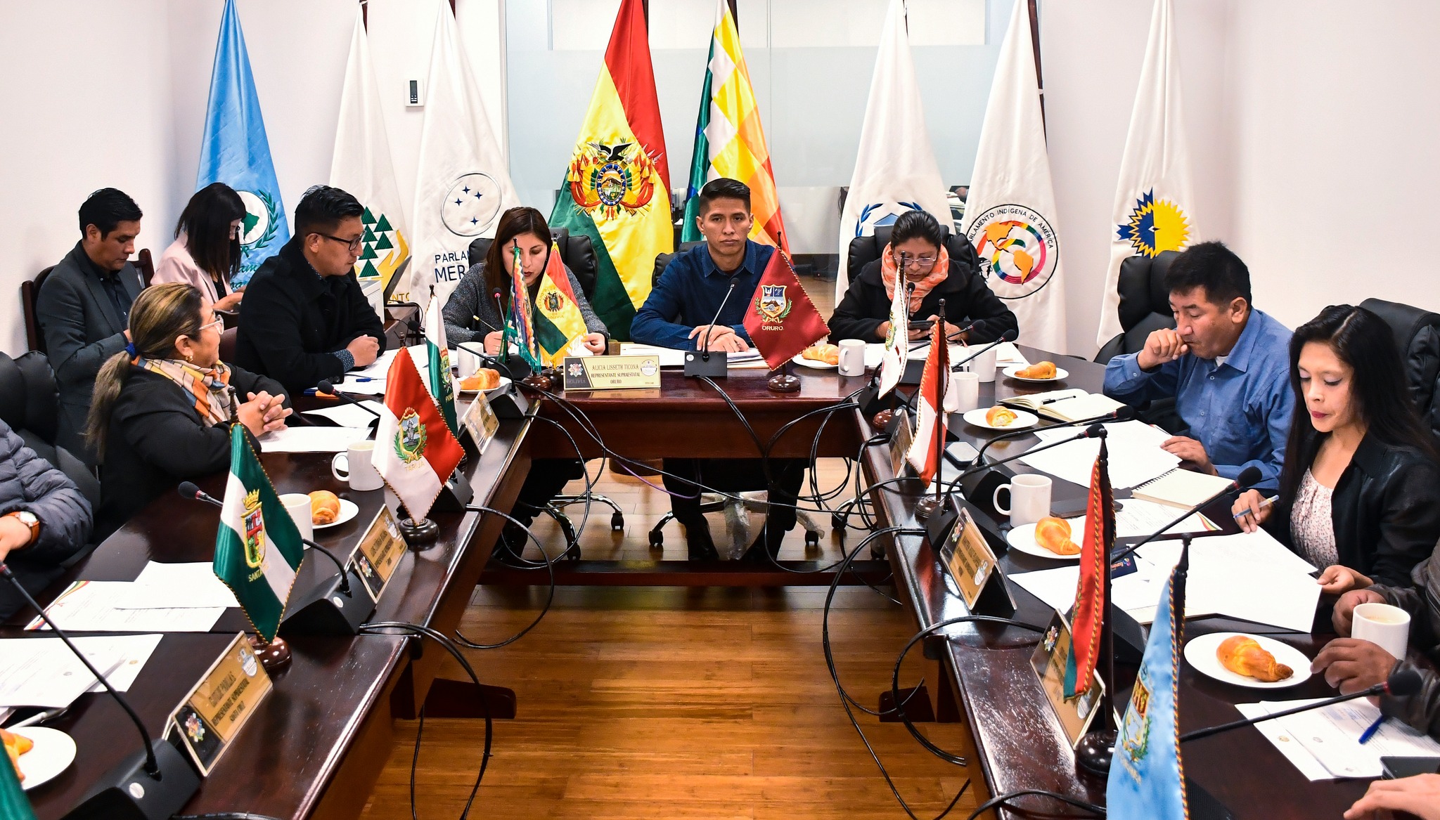 Comisión de parlamentarios supraestatales aboga por los derechos de pueblos indígenas y campesinos