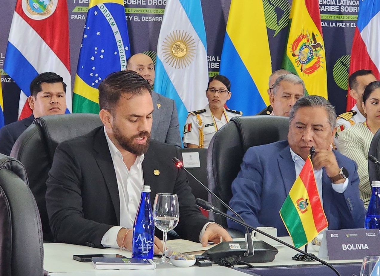 Bolivia plantea a la región apoyar la desclasificación de la coca y “enmendar un error histórico”