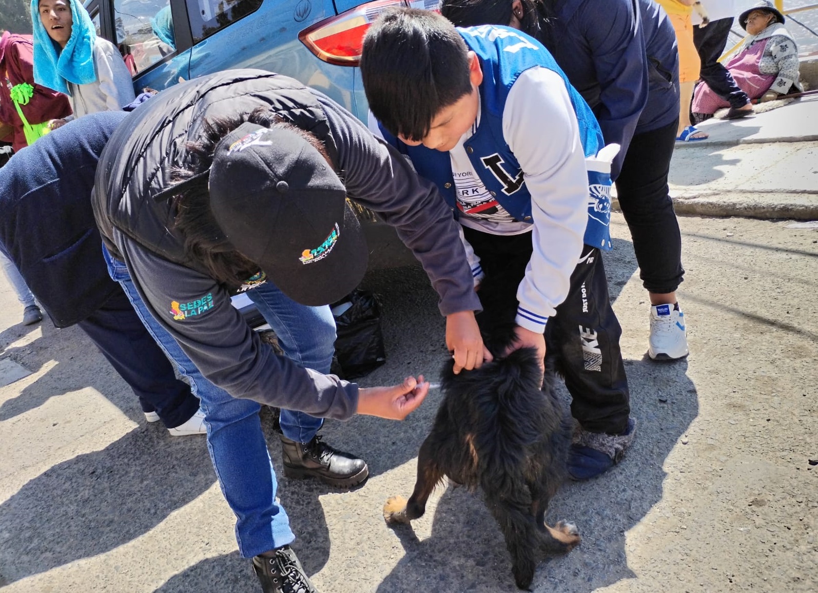 Campaña de Inmunización Antirrábica seguirá hasta el 30 de septiembre y Salud pide a la población garantizar la vacuna a sus mascotas
