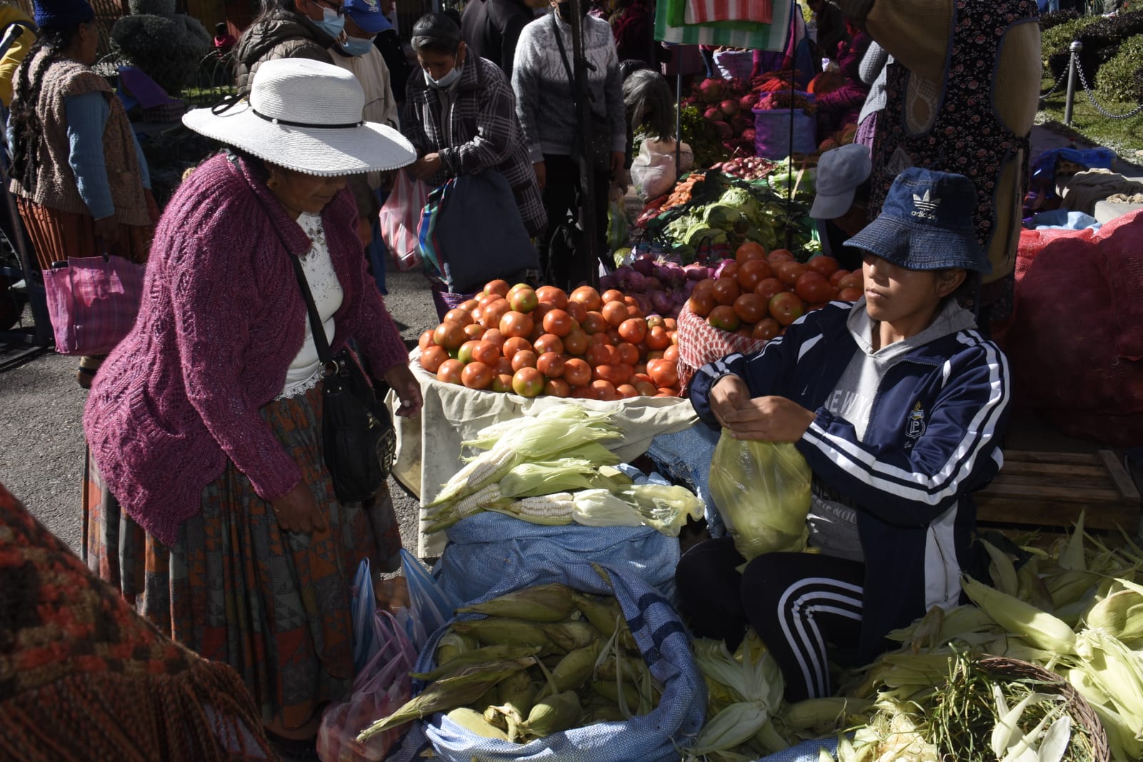 Gobierno aclara que incidencia de la sequía en la producción es menor que en 2022 y garantiza alimentos