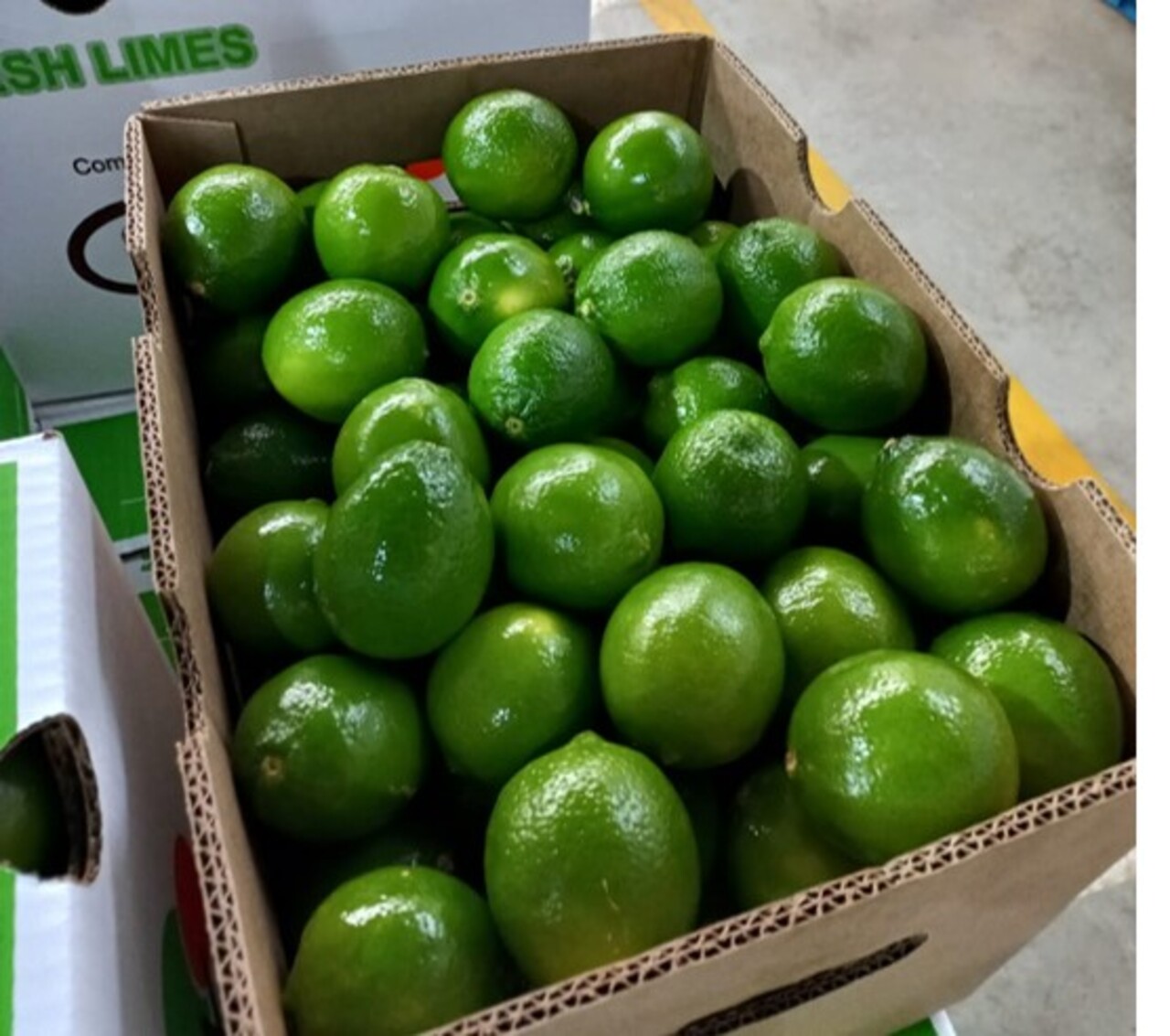 Denuncian que comerciantes inescrupulosos elevan el precio del limón y lo llevan a Perú