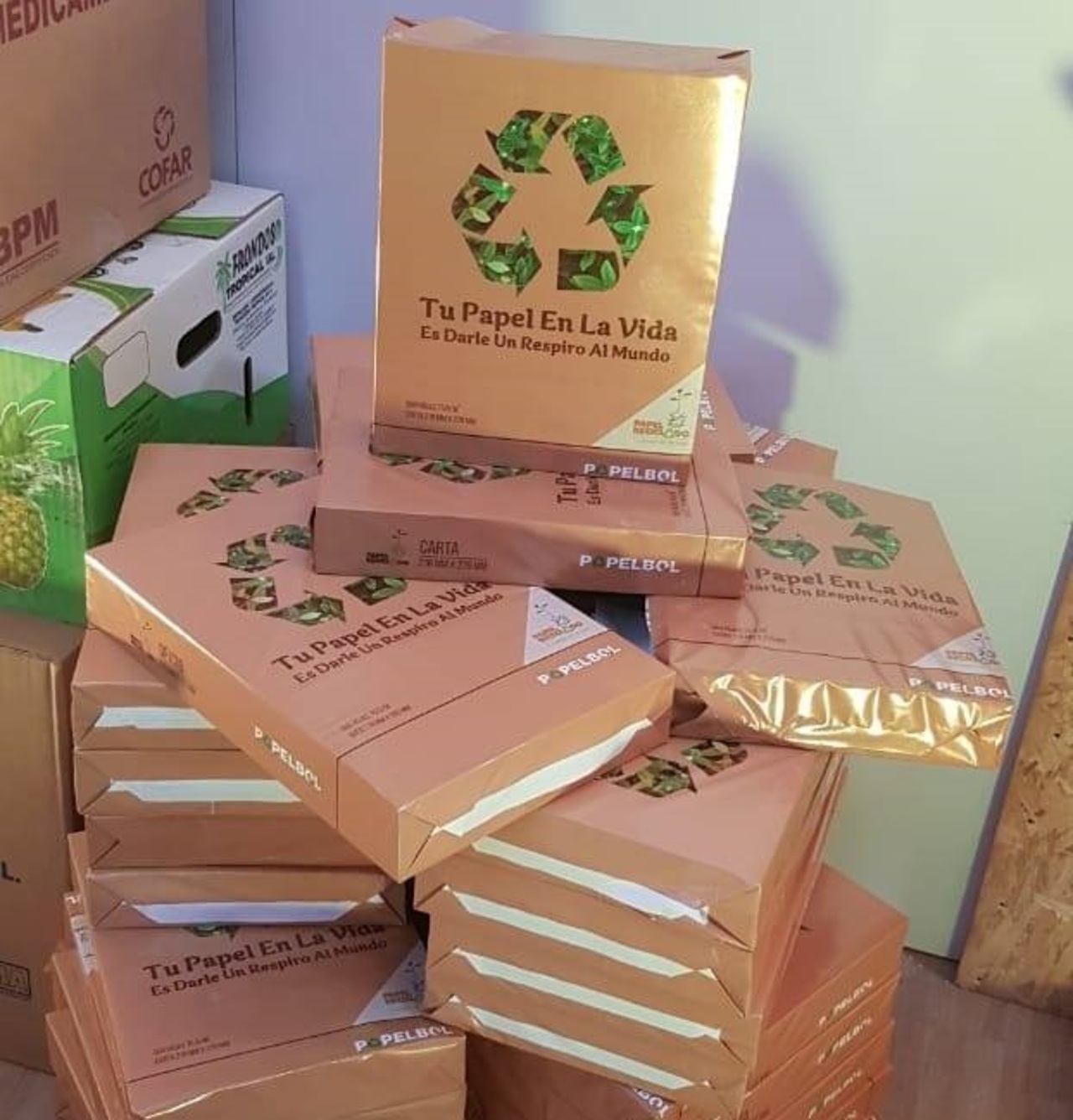 Estatal Papelbol genera Bs 25 millones por ventas en el primer semestre